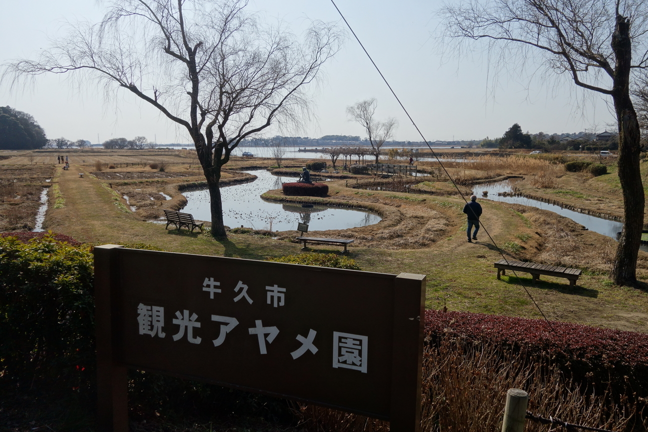 f:id:kimamanidance:20210207120118j:plain