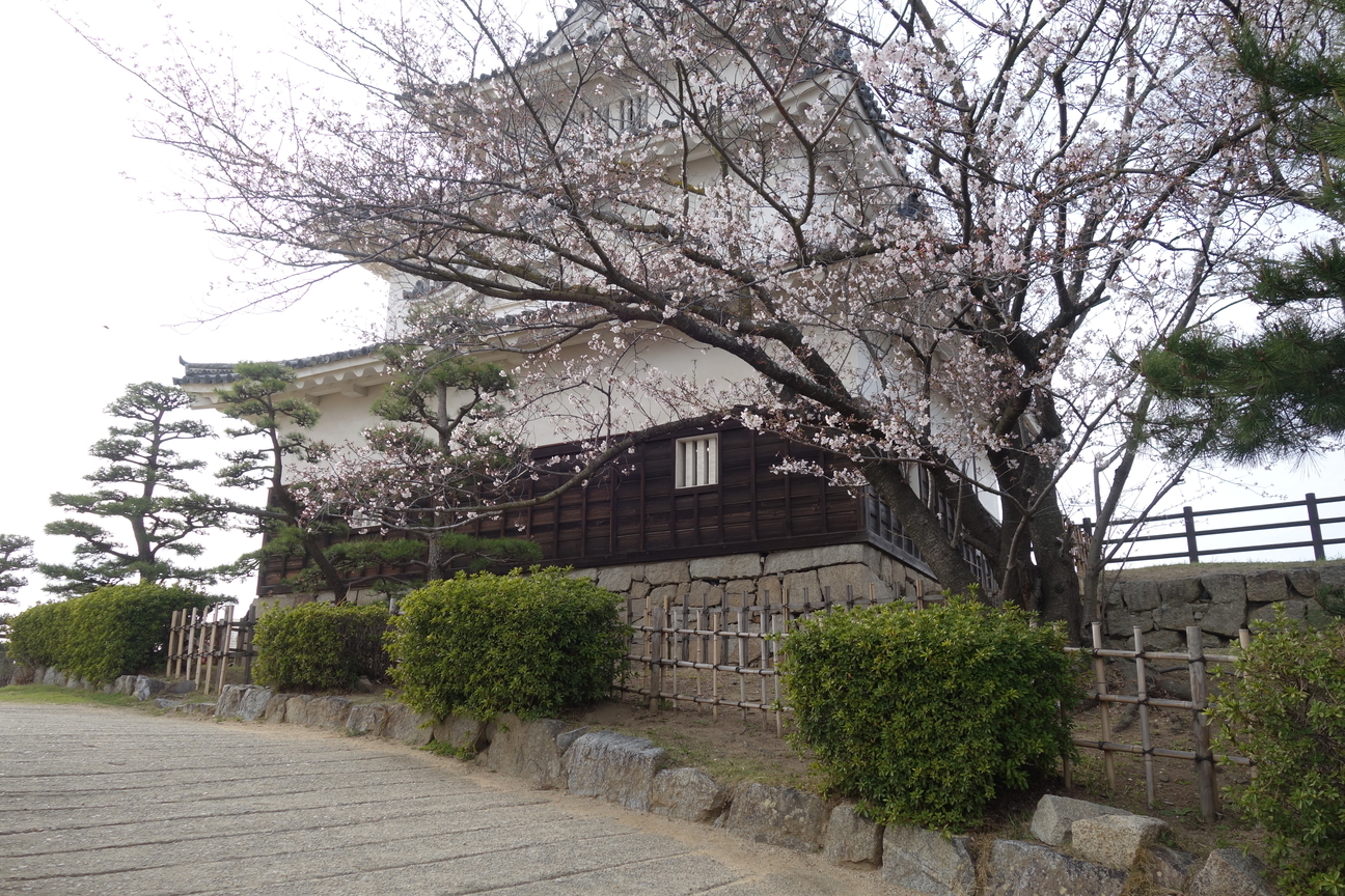 f:id:kimamanidance:20210327160951j:plain