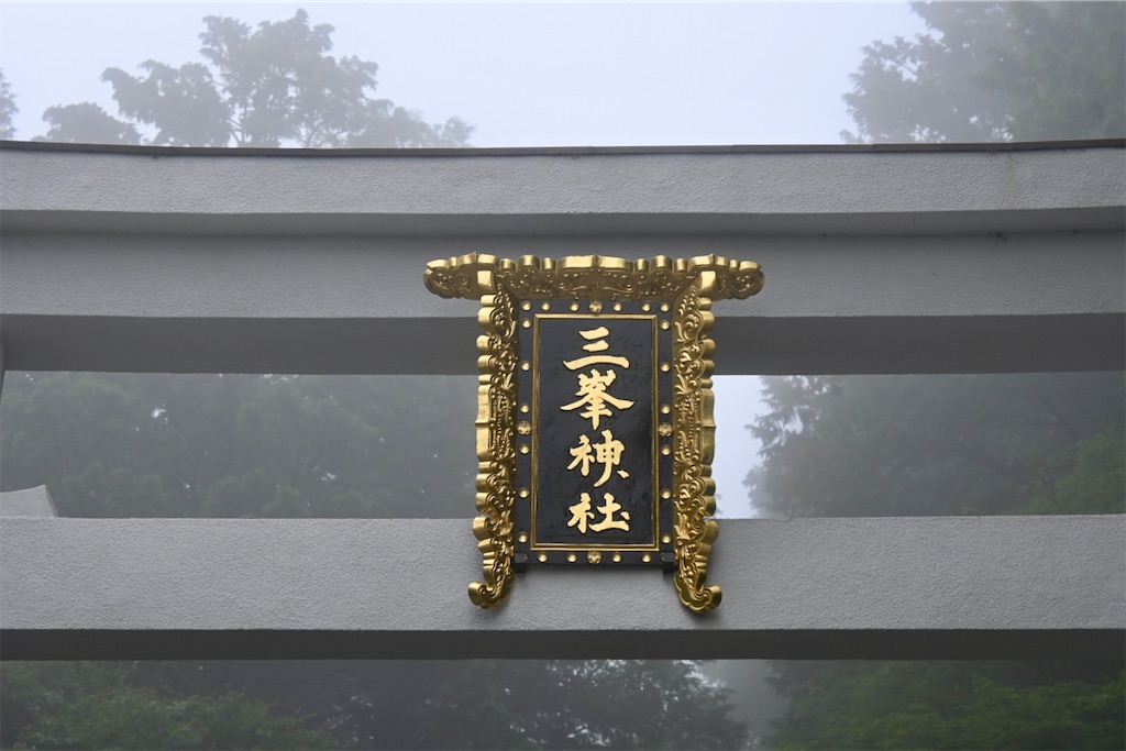 f:id:kimamanidance:20260710125707j:image f:id:kimamanidance:20260710125707j:image