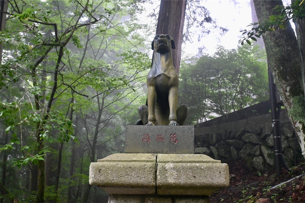 f:id:kimamanidance:20260711102648j:image f:id:kimamanidance:20260711102648j:image