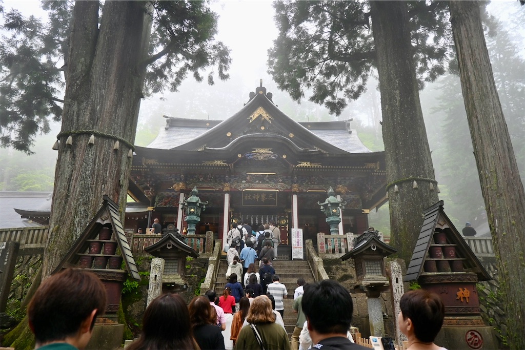 f:id:kimamanidance:20260711102803j:image f:id:kimamanidance:20260711102803j:image