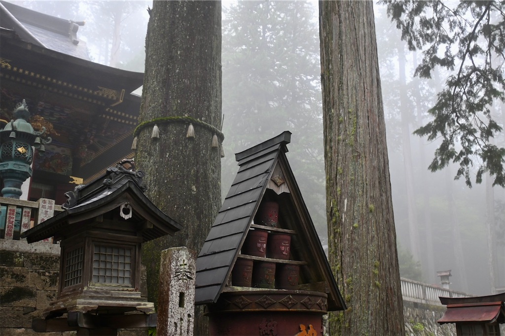 f:id:kimamanidance:20260711102848j:image f:id:kimamanidance:20260711102848j:image