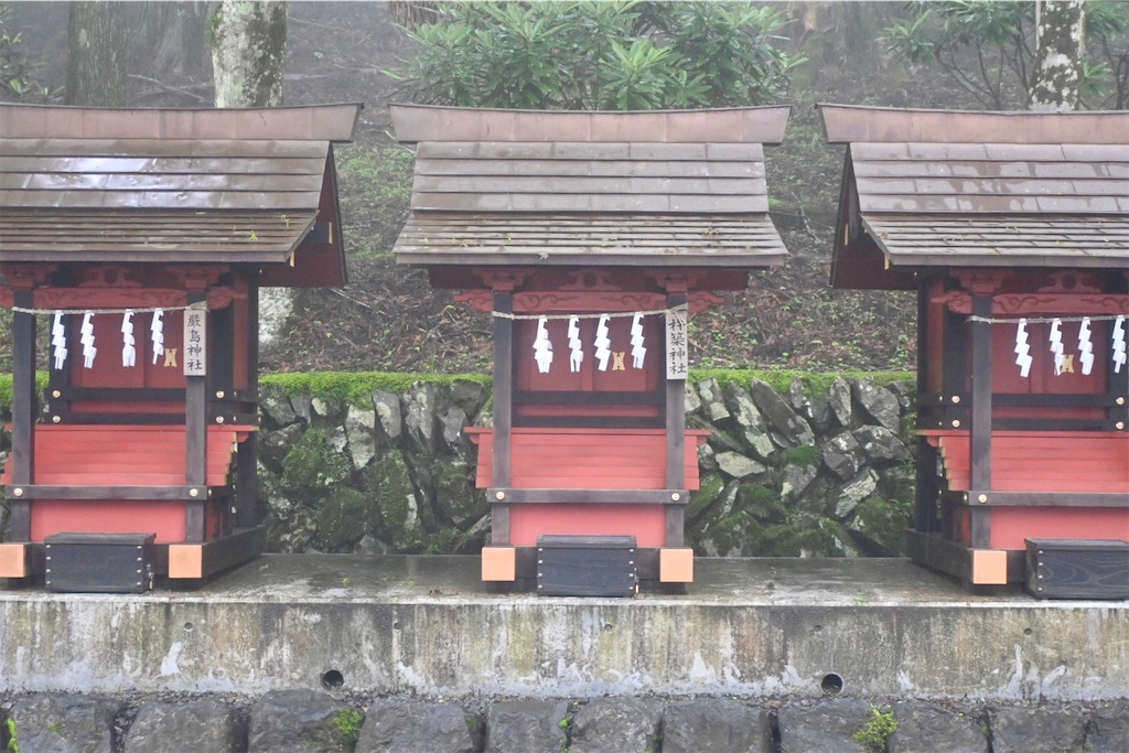 f:id:kimamanidance:20260711103139j:image f:id:kimamanidance:20260711103139j:image