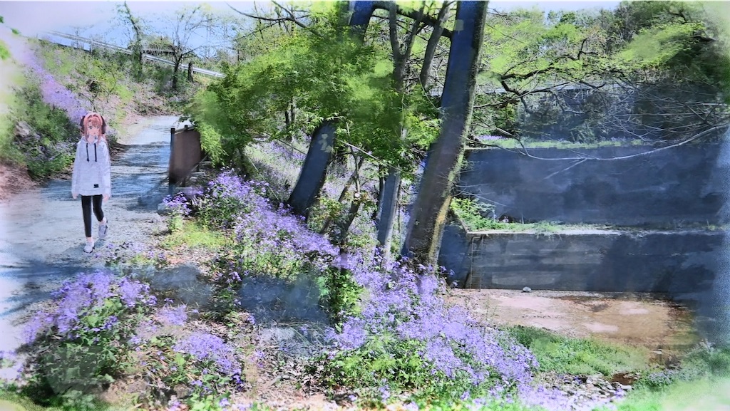 f:id:kimamanidance:20260721125309j:image f:id:kimamanidance:20260721125309j:image