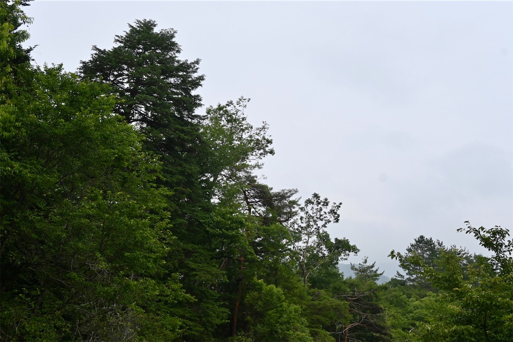 f:id:kimamanidance:20260722195749j:image f:id:kimamanidance:20260722195749j:image