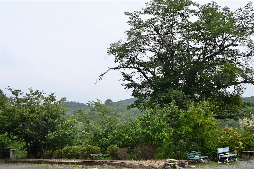 f:id:kimamanidance:20260722195839j:image f:id:kimamanidance:20260722195839j:image
