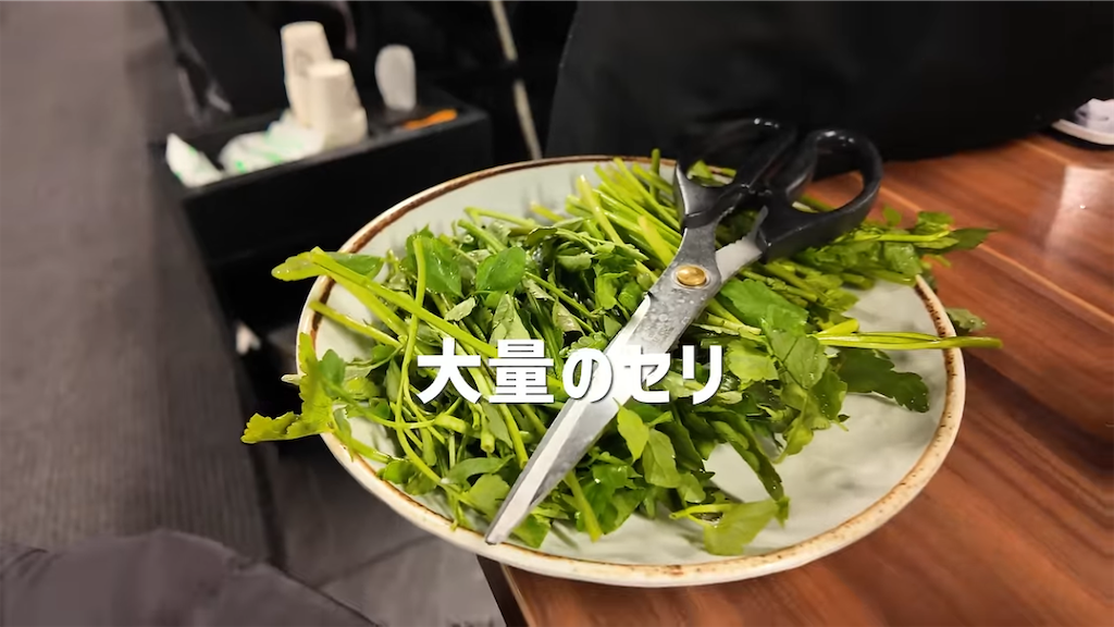 f:id:kimamanidance:20260825080311p:image f:id:kimamanidance:20260825080311p:image