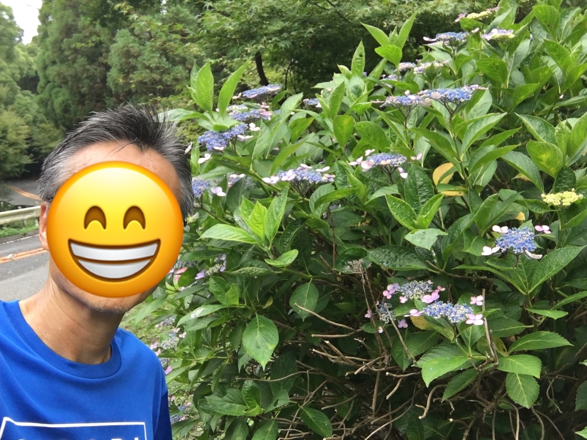 f:id:kimamanitabishitetanoshikurun:20200621001807j:plain