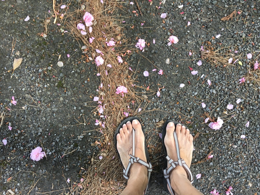 ジョグトリップ陶芸の里。ワラーチ。ニュー真田紐デビュー戦