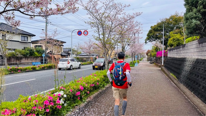 大村湾一周ジョグトリップ。大村のサクラミチ、連続登り下り。