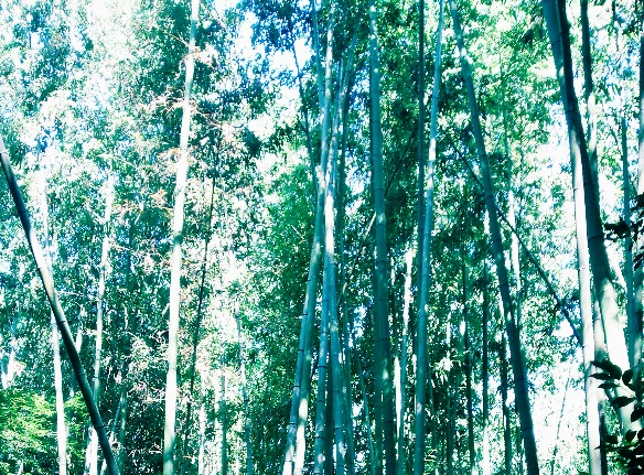 f:id:kimamax:20160913110821j:plain f:id:kimamax:20160913110821j:plain