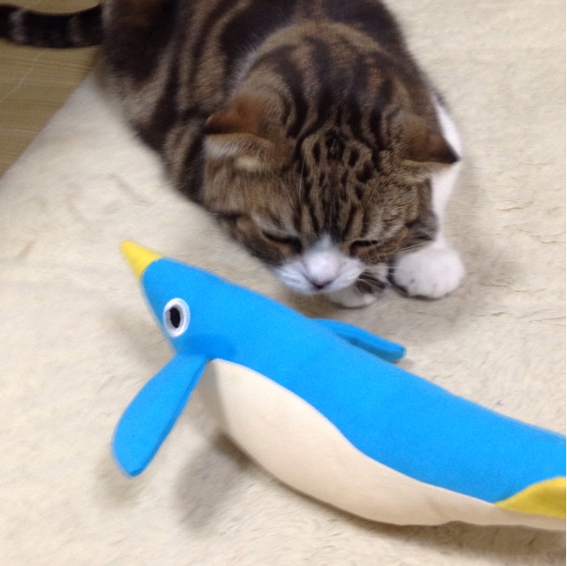 f:id:kimaya:20141022010710j:plain f:id:kimaya:20141022010710j:plain