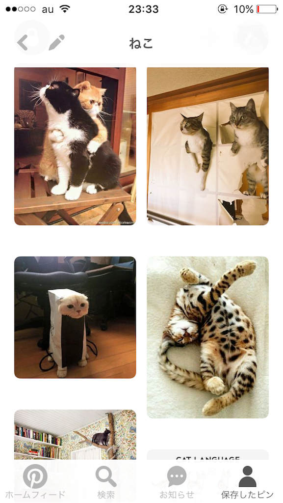 f:id:kimaya:20170113233418p:image f:id:kimaya:20170113233418p:image