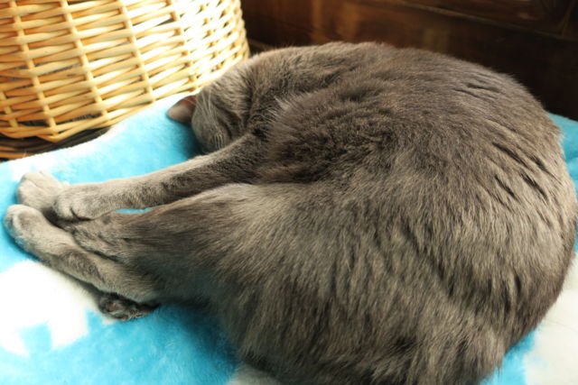 f:id:kimaya:20170302093854j:plain