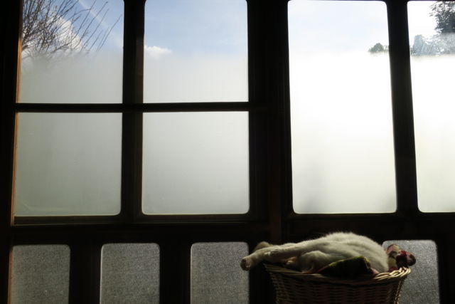 f:id:kimaya:20170302093855j:plain