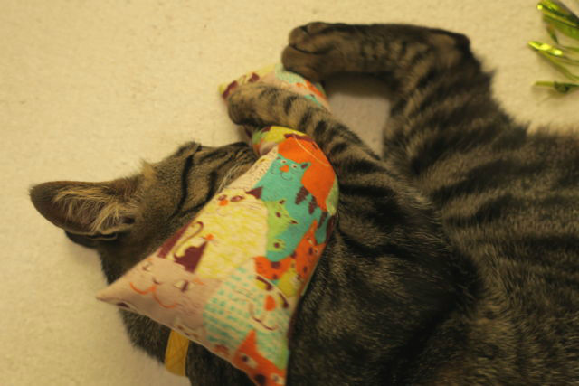 f:id:kimaya:20170302093856j:plain