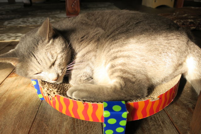 f:id:kimaya:20170302093857j:plain