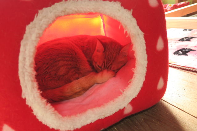 f:id:kimaya:20170302093902j:plain