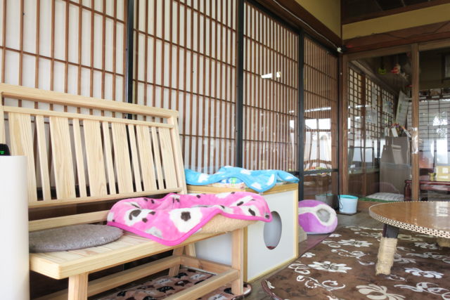 古民家保護猫カフェ　Cafe Gatto内観