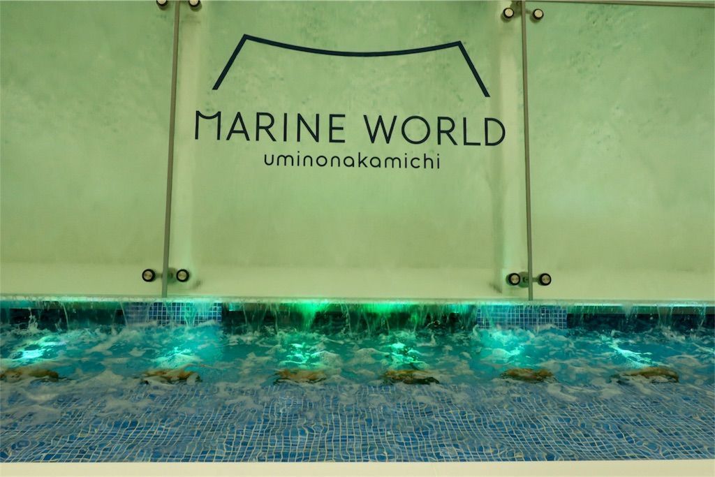 f:id:kimaya:20170531052224j:image