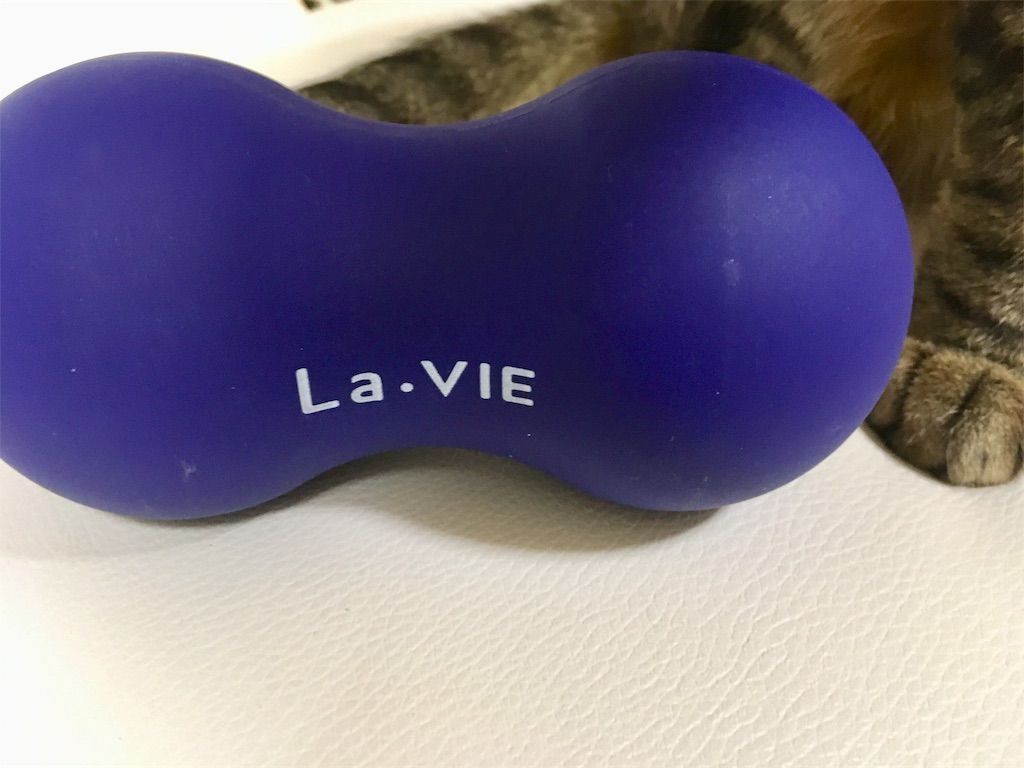 f:id:kimaya:20171207154826j:image f:id:kimaya:20171207154826j:image