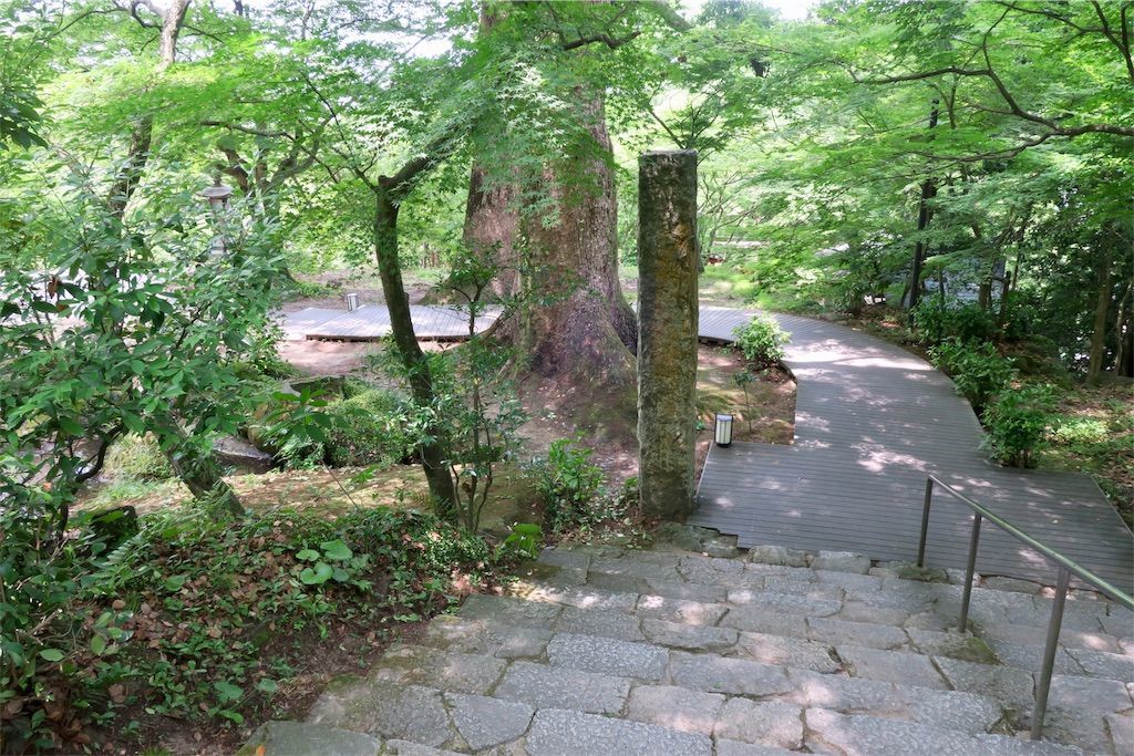 f:id:kimaya:20190624125112j:image 竈門神社の参道