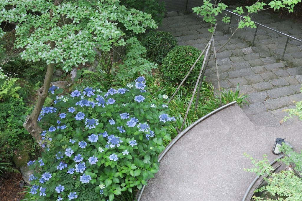 竈門神社の社務所裏から下を見る