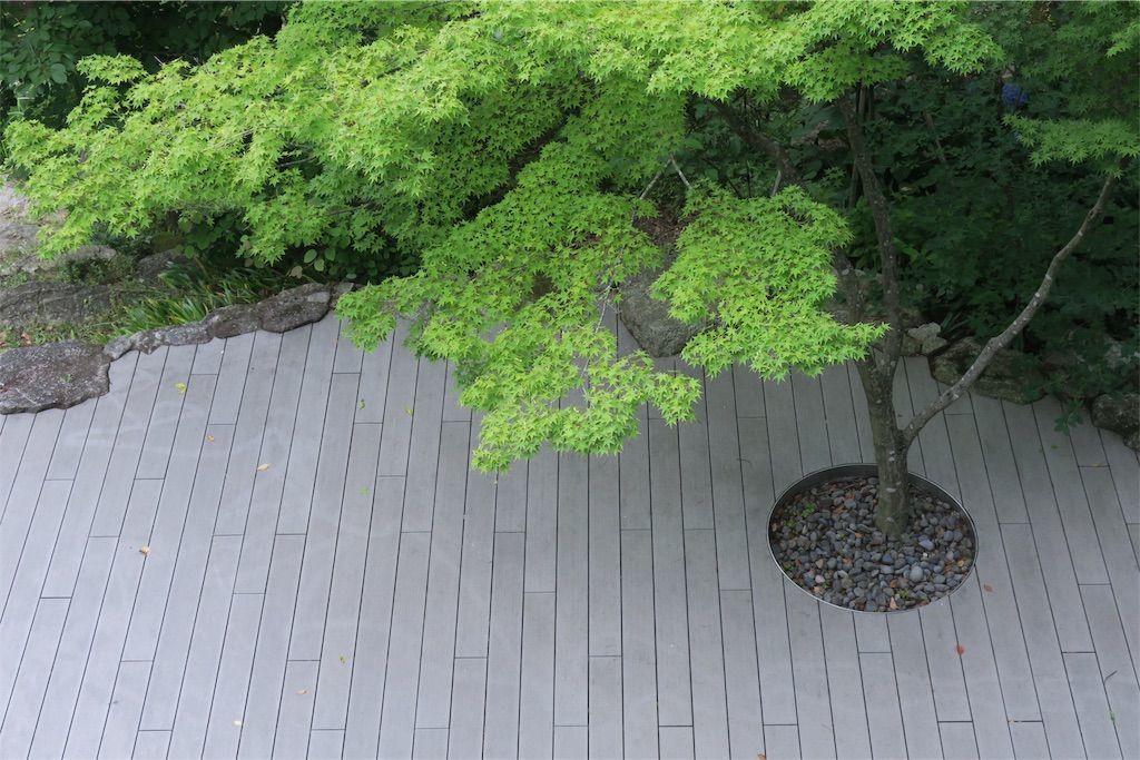 f:id:kimaya:20190624125130j:image 竈門神社 あじさい