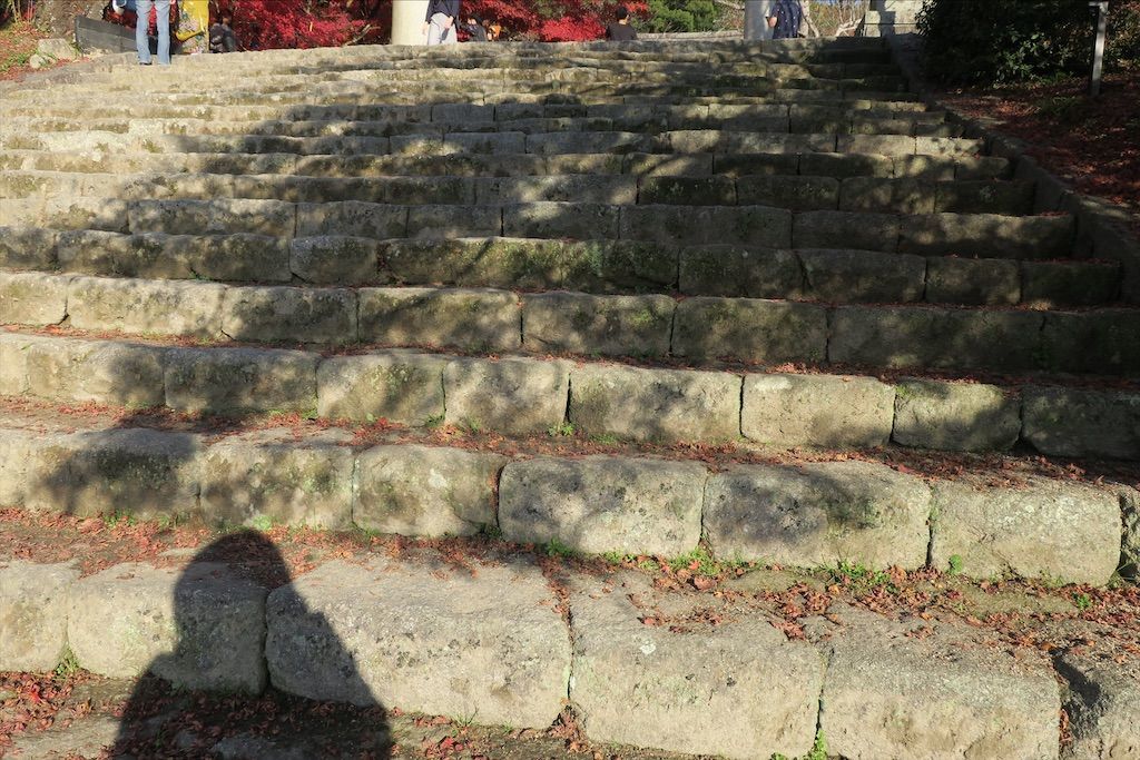 f:id:kimaya:20201115122546j:image f:id:kimaya:20201115122546j:image