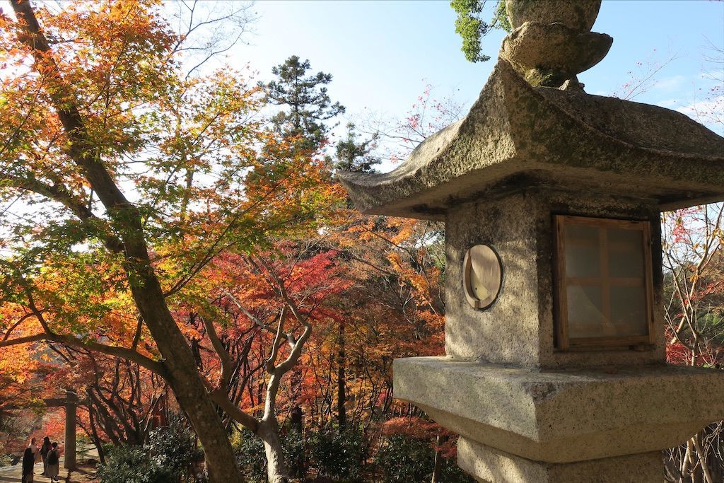 f:id:kimaya:20201115122550j:image f:id:kimaya:20201115122550j:image