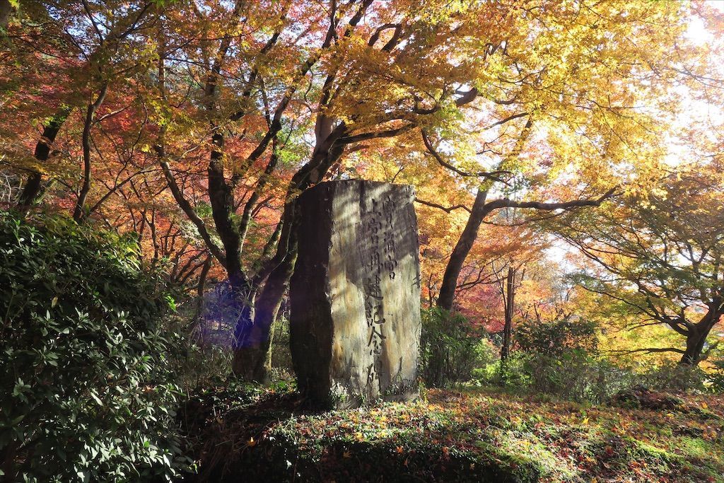 f:id:kimaya:20201115122554j:image f:id:kimaya:20201115122554j:image