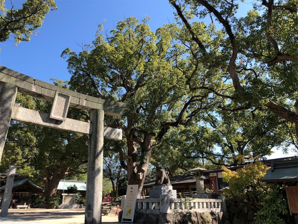 f:id:kimaya:20221102193542j:image f:id:kimaya:20221102193542j:image