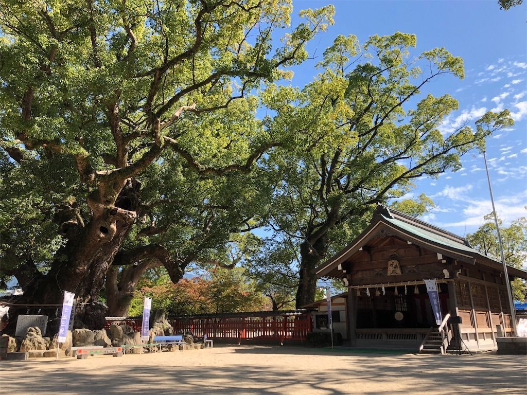 f:id:kimaya:20221102193633j:image f:id:kimaya:20221102193633j:image