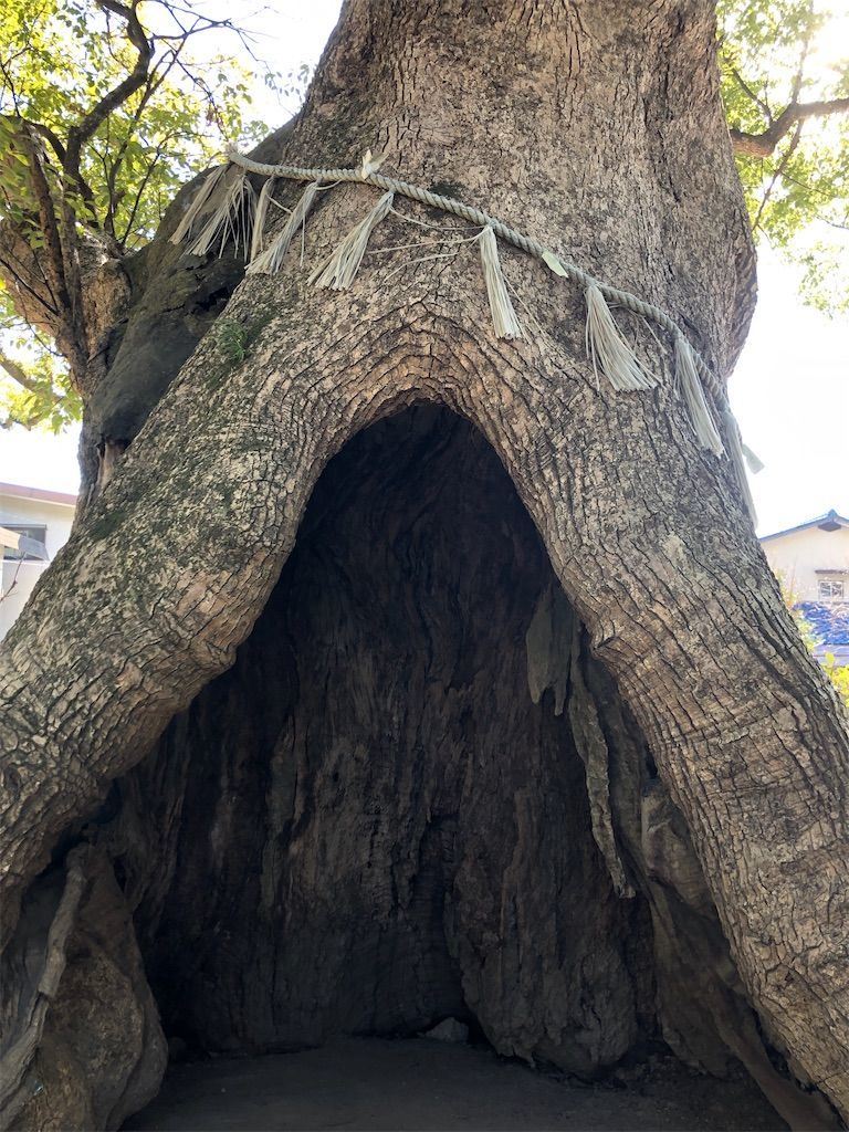 f:id:kimaya:20230111113737j:image f:id:kimaya:20230111113737j:image