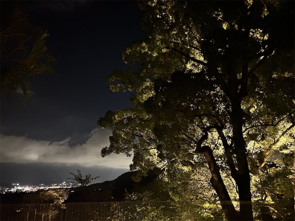 f:id:kimaya:20240801111125j:image