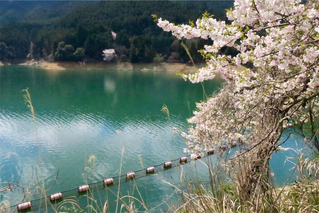 f:id:kimaya:20250402132537j:image