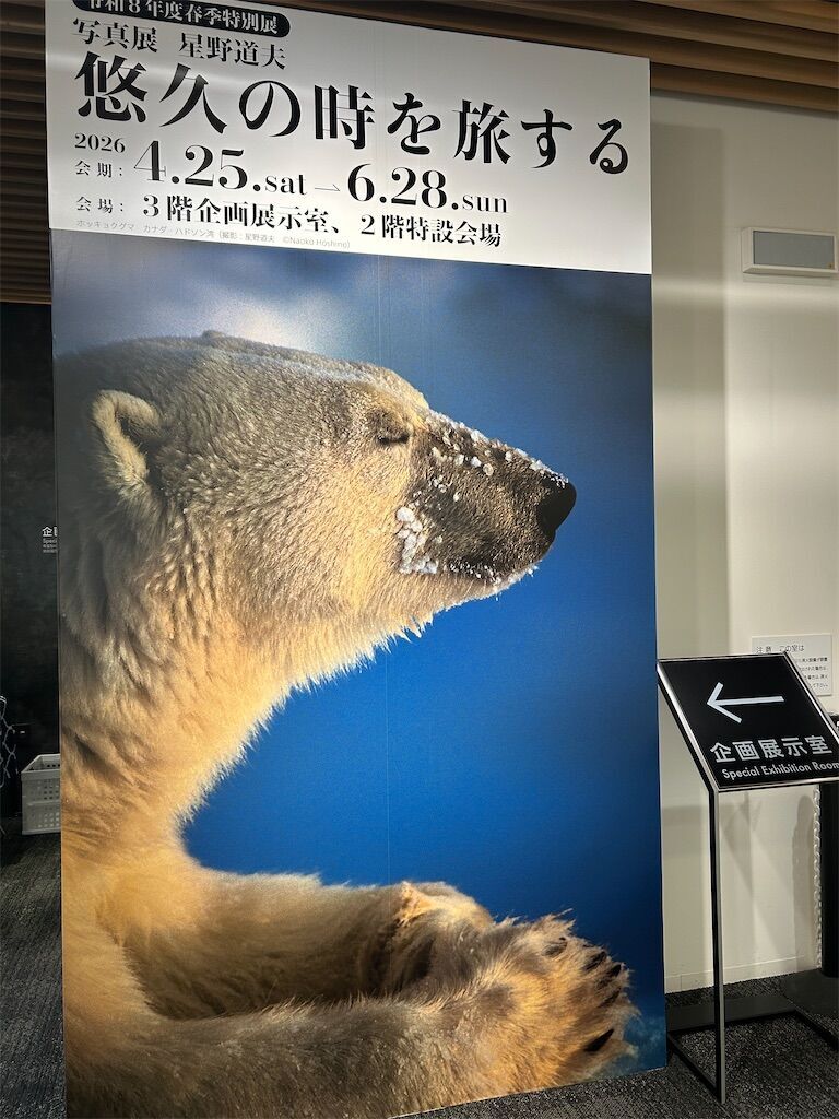 星野道夫写真展の感想 / 自然の写真に惹かれた #悠久の時を旅する