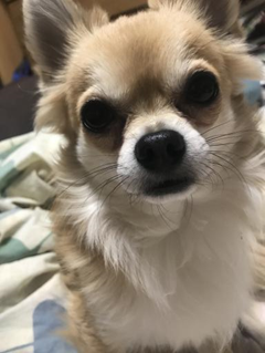 f:id:kimi1211:20200114201704p:plain