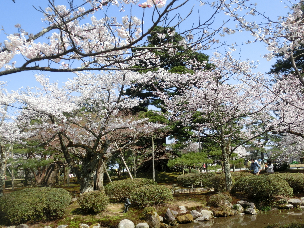 f:id:kimicchi:20220414101302j:plain
