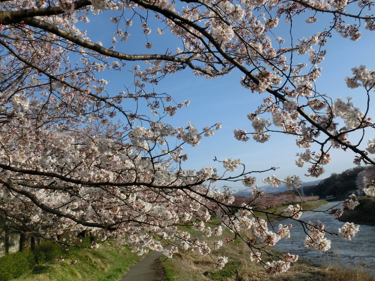 f:id:kimicchi:20220415160412j:plain