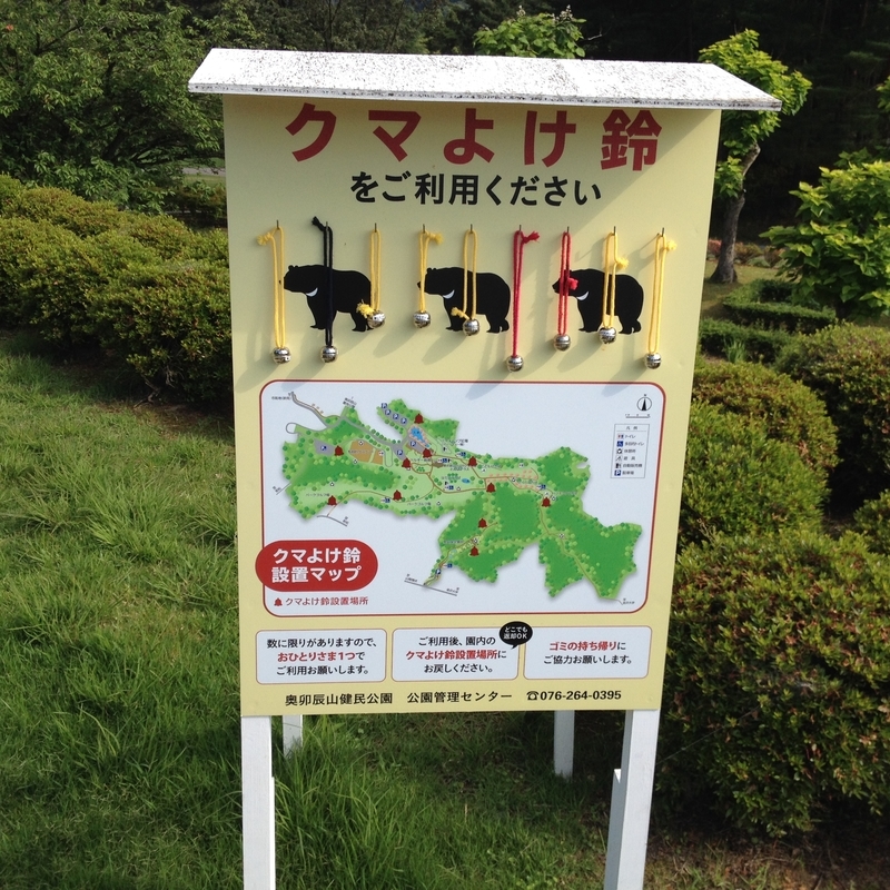 f:id:kimidoristyle:20200621181645j:plain