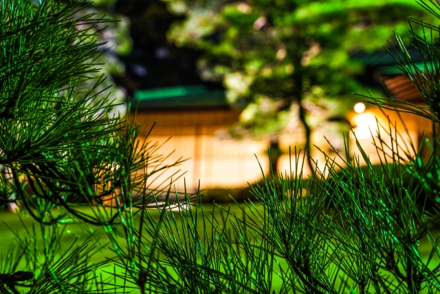 f:id:kimigata:20190608065724j:plain f:id:kimigata:20190608065724j:plain
