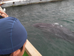 SANY0017.JPG