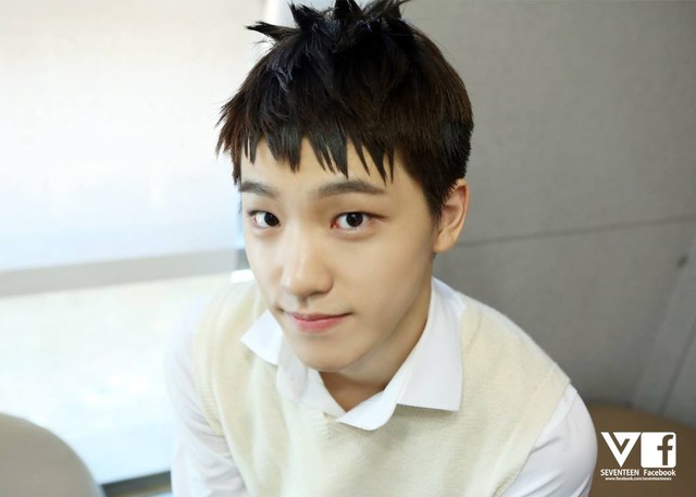 SEVENTEEN セブチ セブンティーン ディノ チャン イチャン ディノ（イ・チャン）｜SEVENTEEN｜応援投票、身長、年齢など