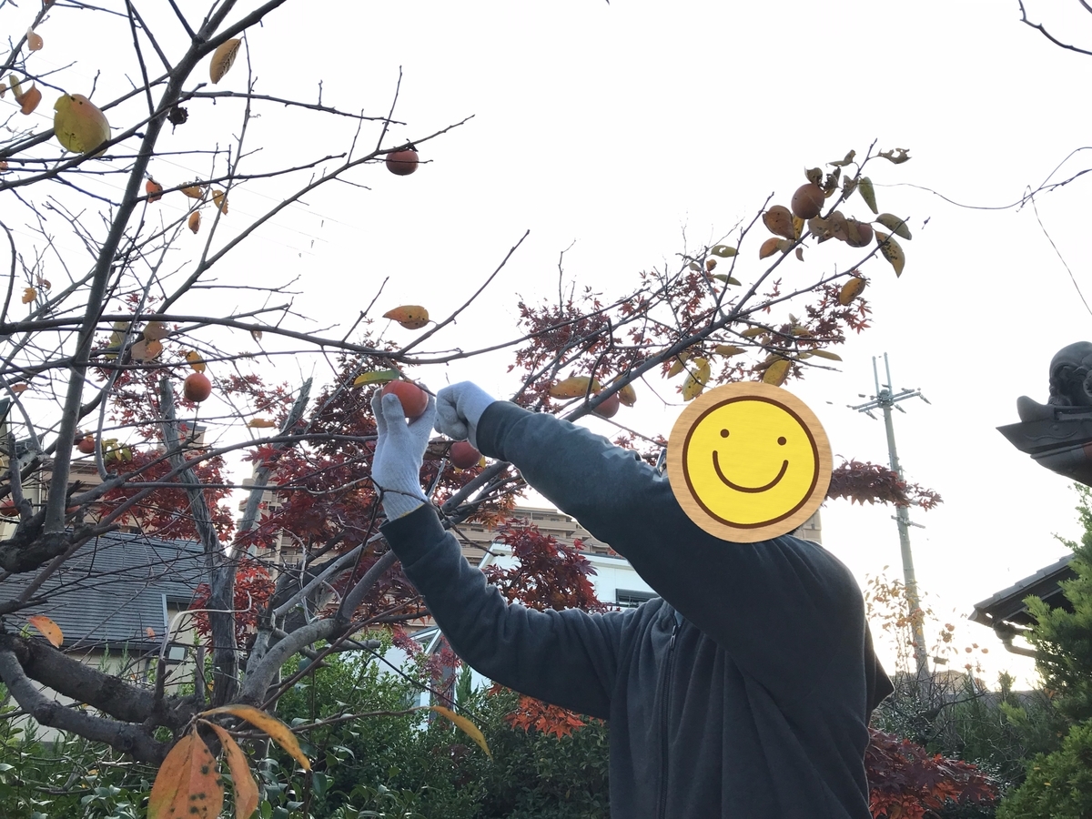 f:id:kiminomirai:20201207163605j:plain