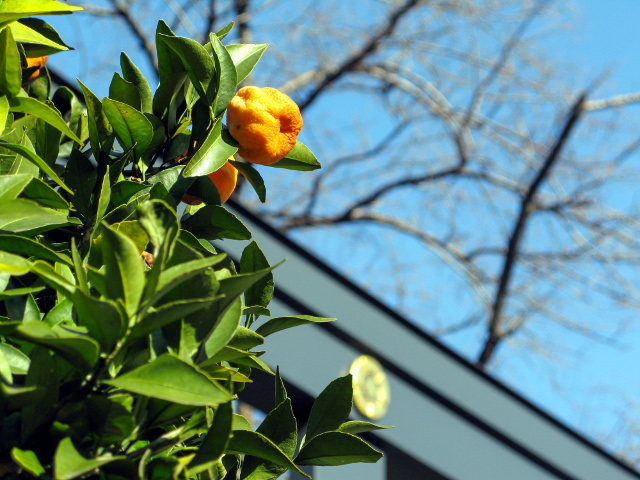f:id:kimitaros:20220115231832j:plain