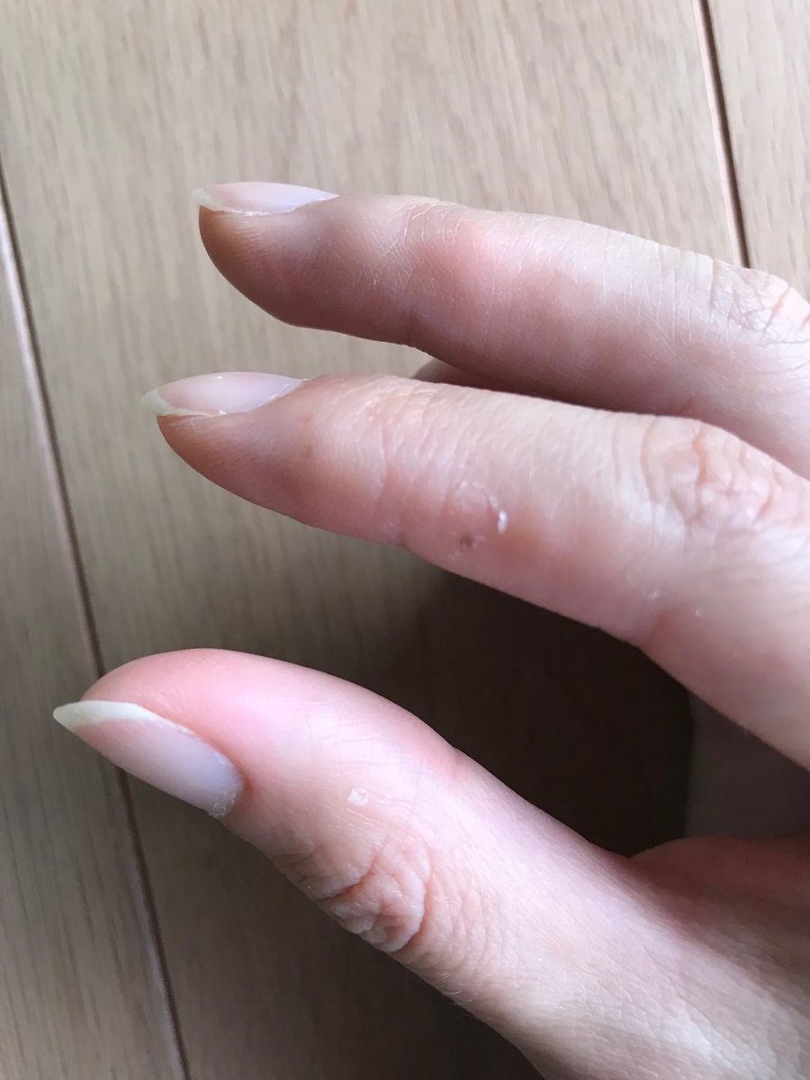 f:id:kimiweeee:20190713082537j:plain f:id:kimiweeee:20190713082537j:plain