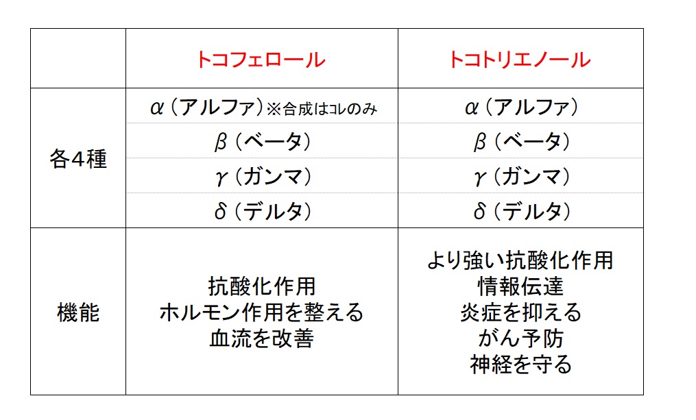 f:id:kimiweeee:20191209174256j:plain f:id:kimiweeee:20191209174256j:plain