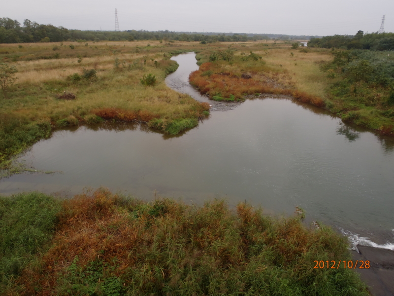 f:id:kimkaz:20121028100927j:image:w360 f:id:kimkaz:20121028100927j:image:w360