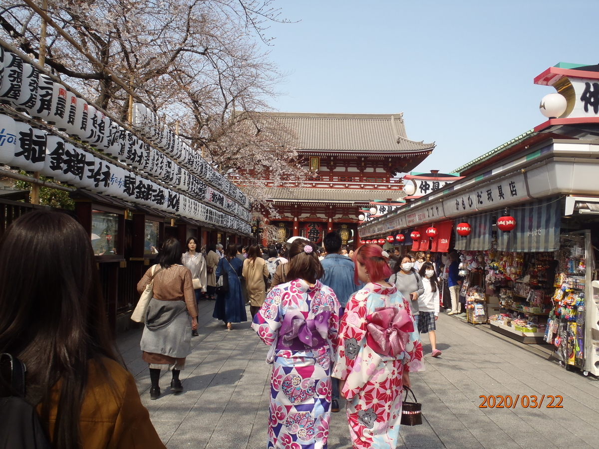 f:id:kimkaz:20200322132257j:plain f:id:kimkaz:20200322132257j:plain